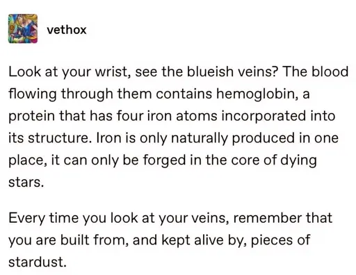 A tumblr post by @vethox.  Look at your wrist, see the blueish veins? The blood flowing through them contains hemoglobin, a protein that has four iron atoms incorporated into its structure. Iron is only naturally produced in one place, it can only be forged in the core of dying stars.   Every time you look at your veins, remember that you are built from, and kept alive by, pieces of stardust.